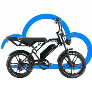 Alle Fatbikes